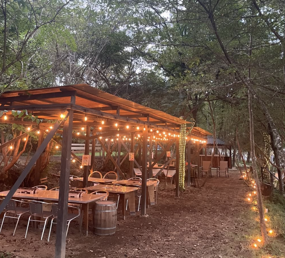 スクリーンショット 2025-04-18 13.08.00