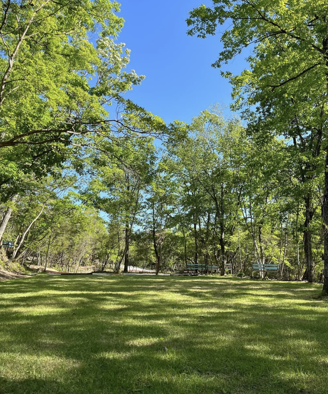 スクリーンショット 2025-04-18 13.17.39