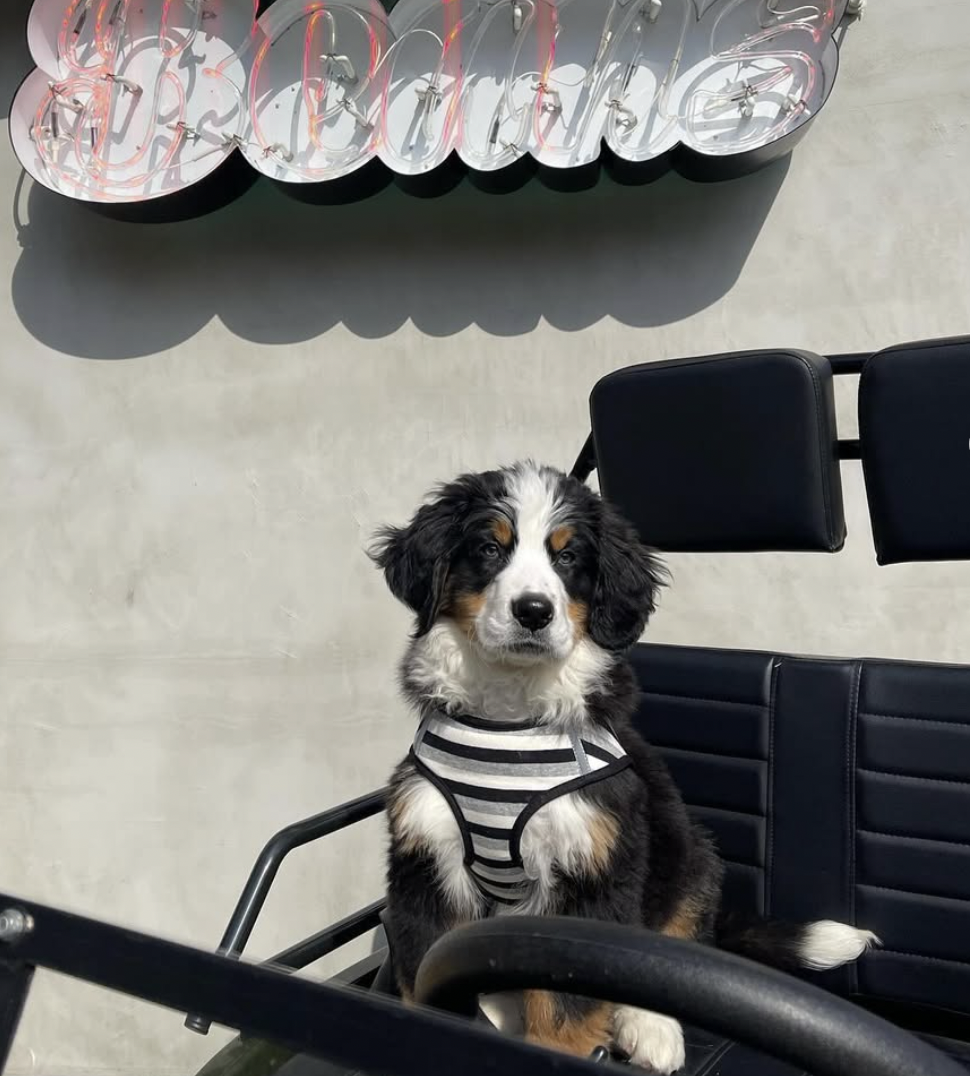 スクリーンショット 2025-04-18 13.18.54